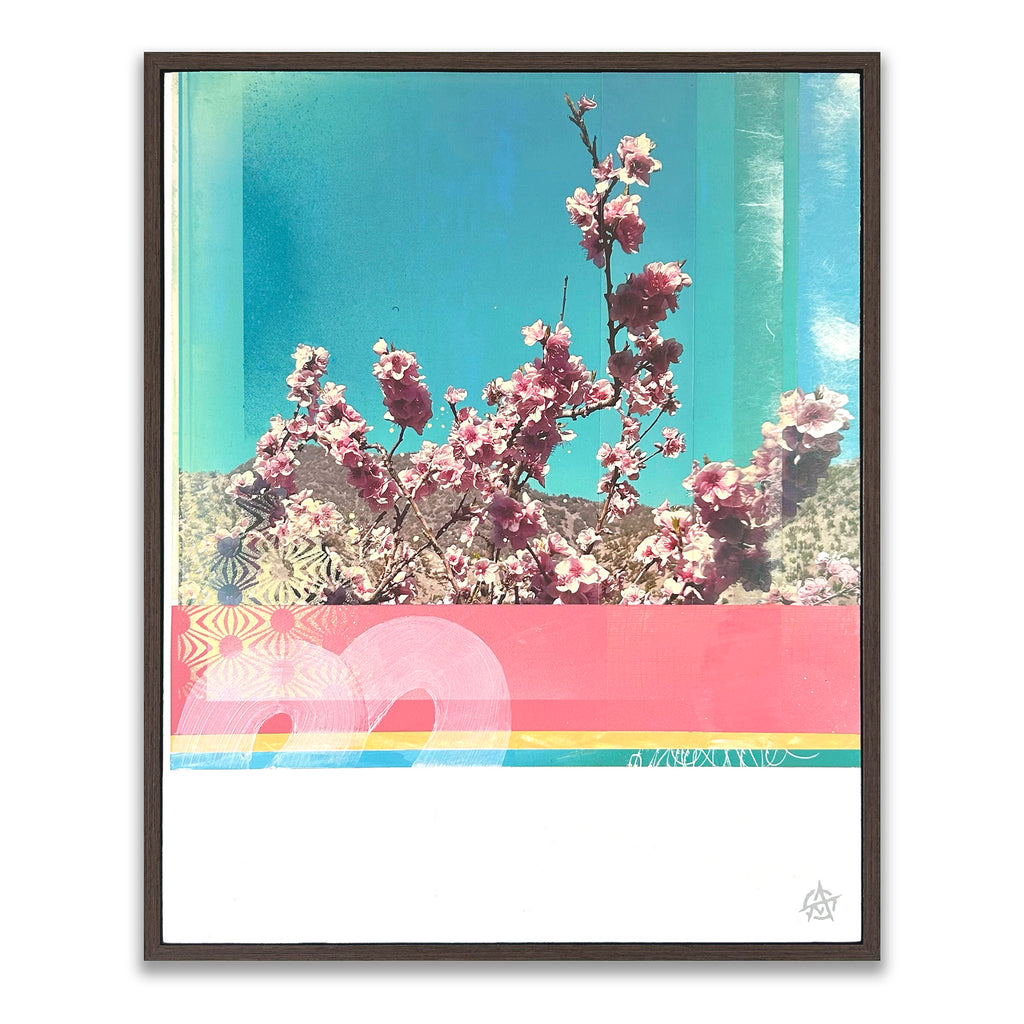 007 Pink Blossom