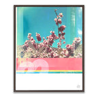 007 Pink Blossom