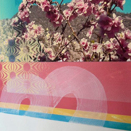 007 Pink Blossom
