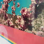 007 Pink Blossom