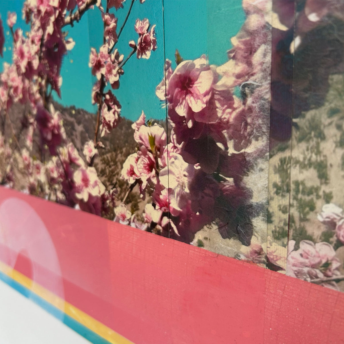007 Pink Blossom