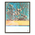 008 White Blossom