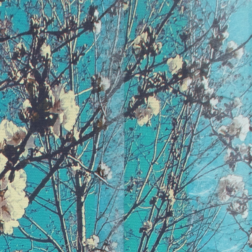 008 White Blossom