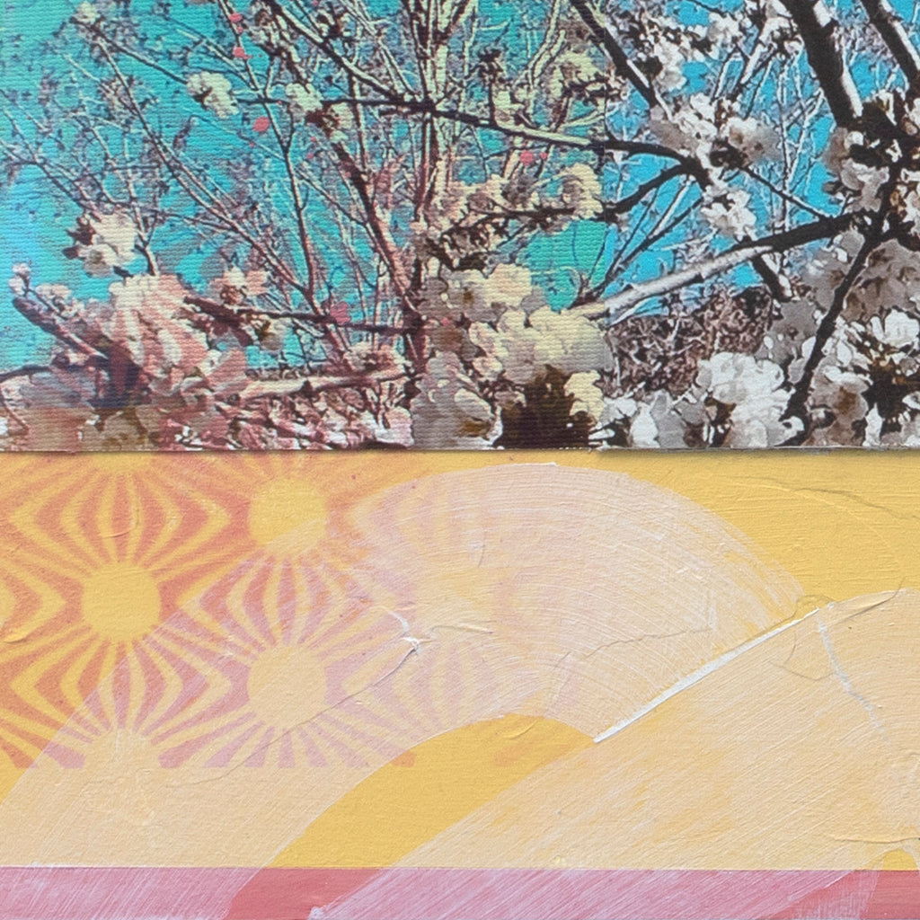 008 White Blossom