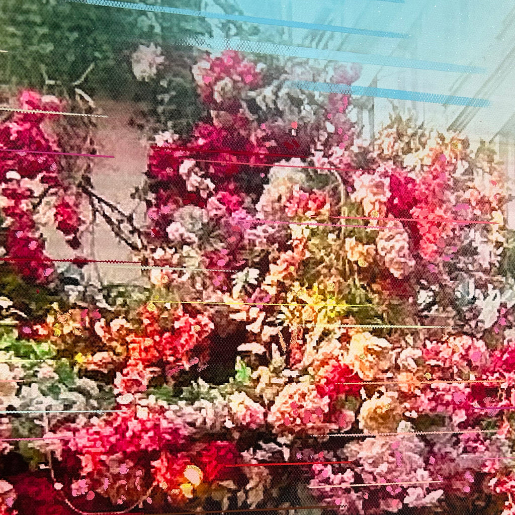 Maison Sauvage image 6
