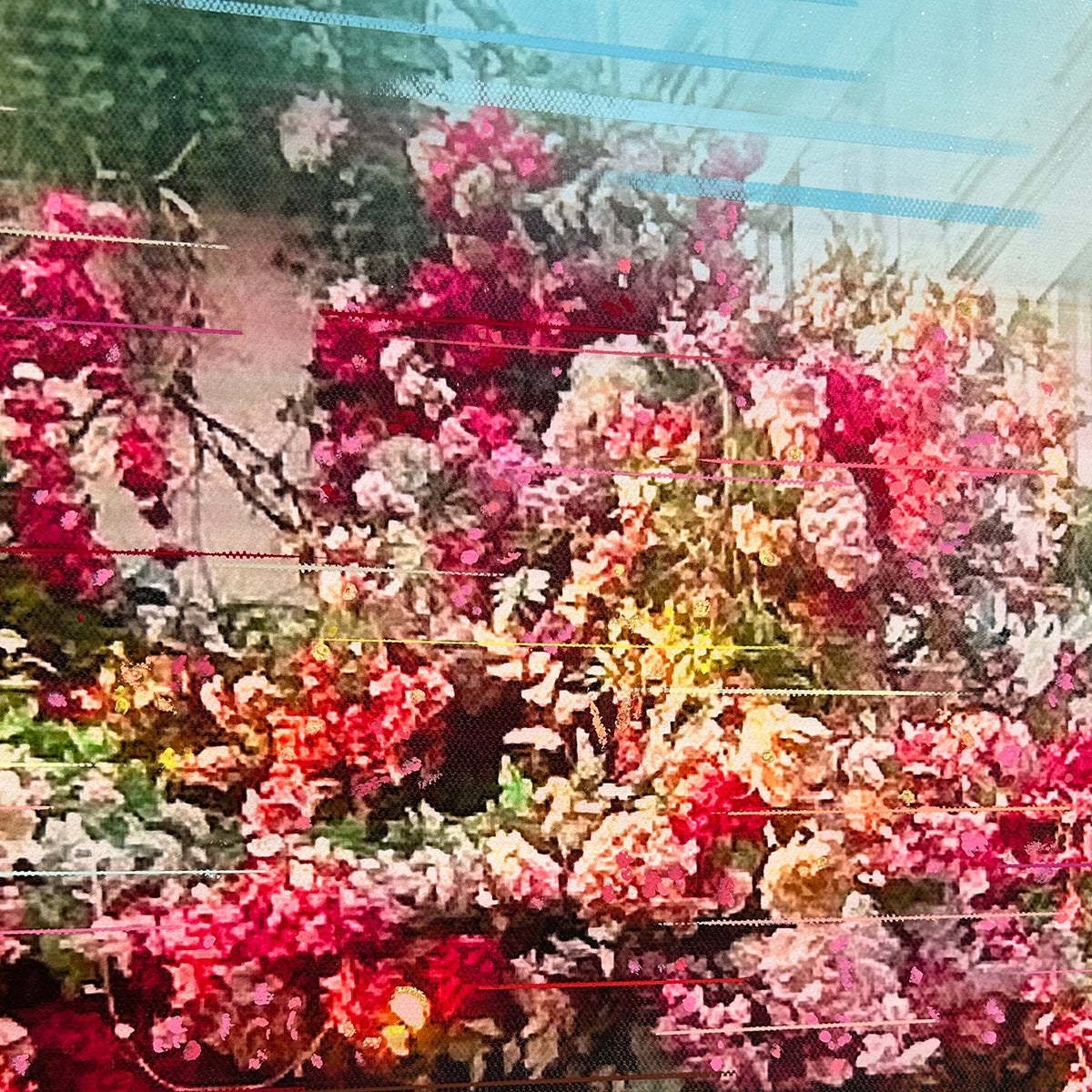 Maison Sauvage image 6