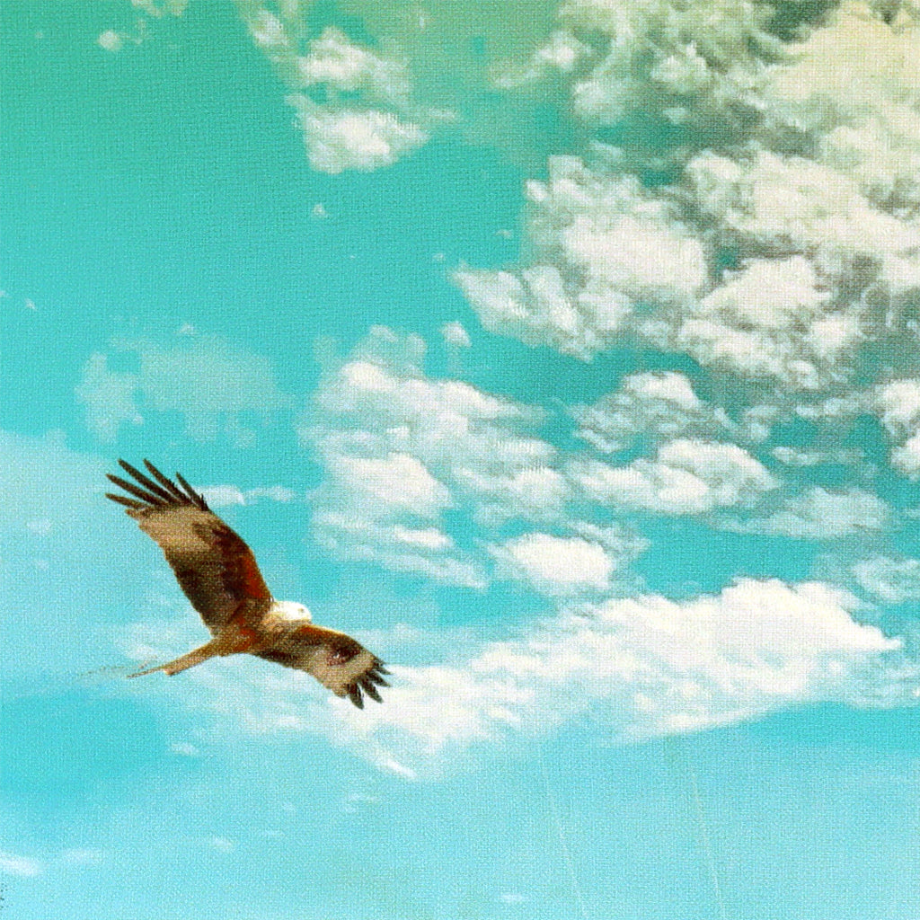 Breathing Space image 4