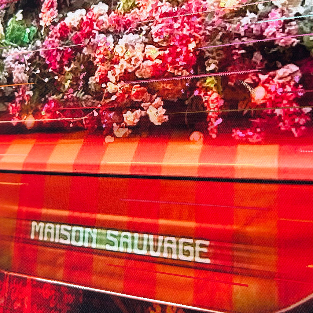 Maison Sauvage image 7