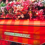 Maison Sauvage image 7
