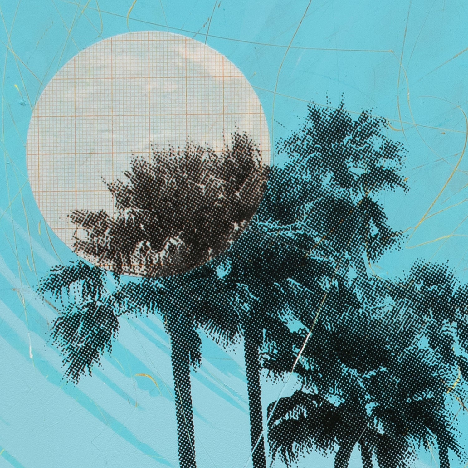 Vélomoteur image 3