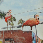 Electric Avenue image 1
