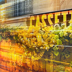 Cassette image 5
