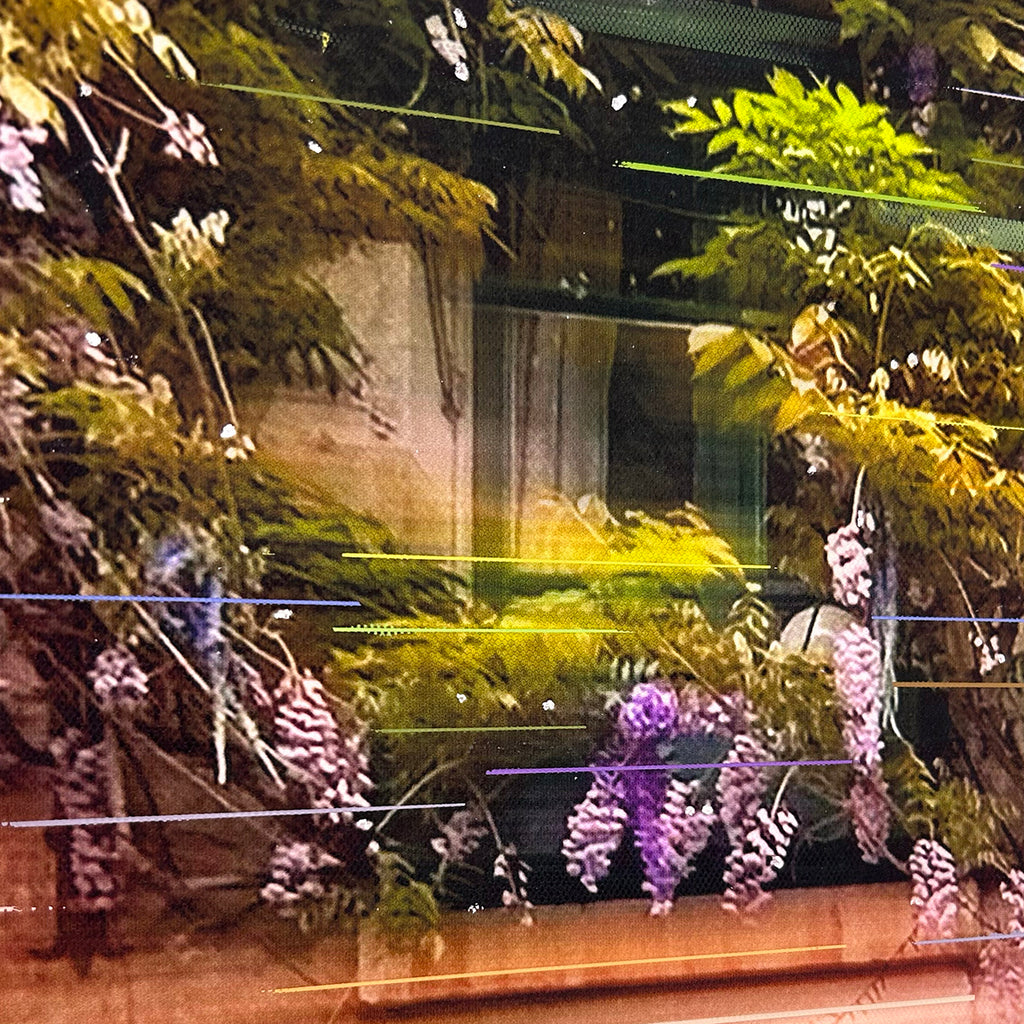 Au Vieux Paris d'Arcole image 3
