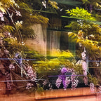 Au Vieux Paris d'Arcole image 3