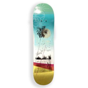 Best Coast - Skateboard by Anil Mistry