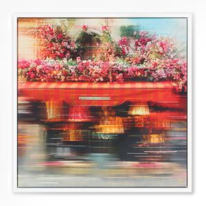 Maison Sauvage by Anil Mistry