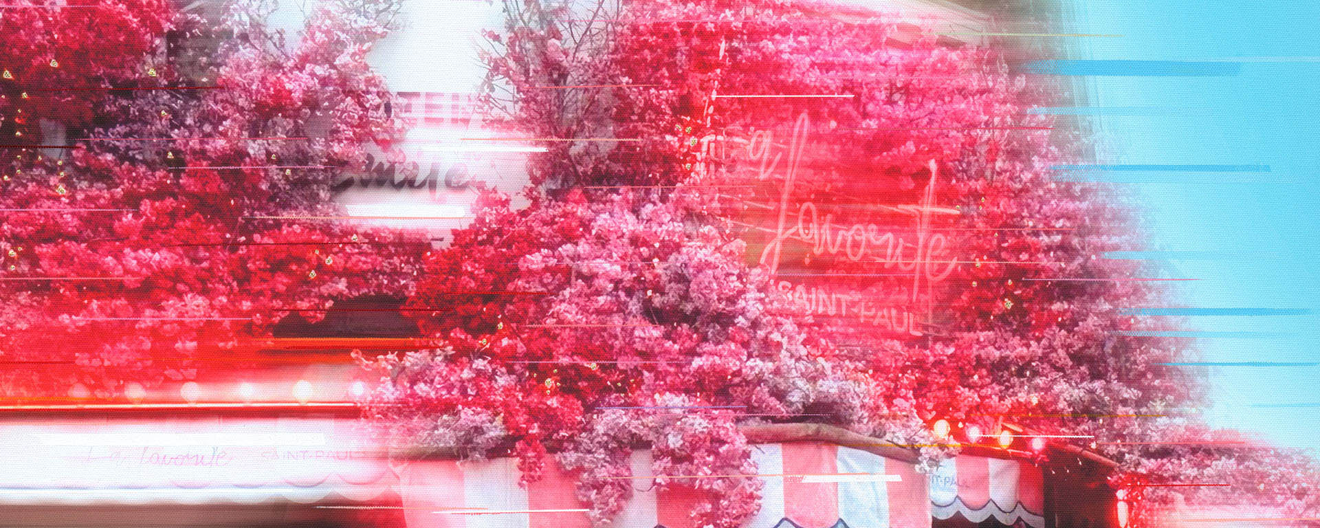 La Favorite Saint Paul by Anil Mistry